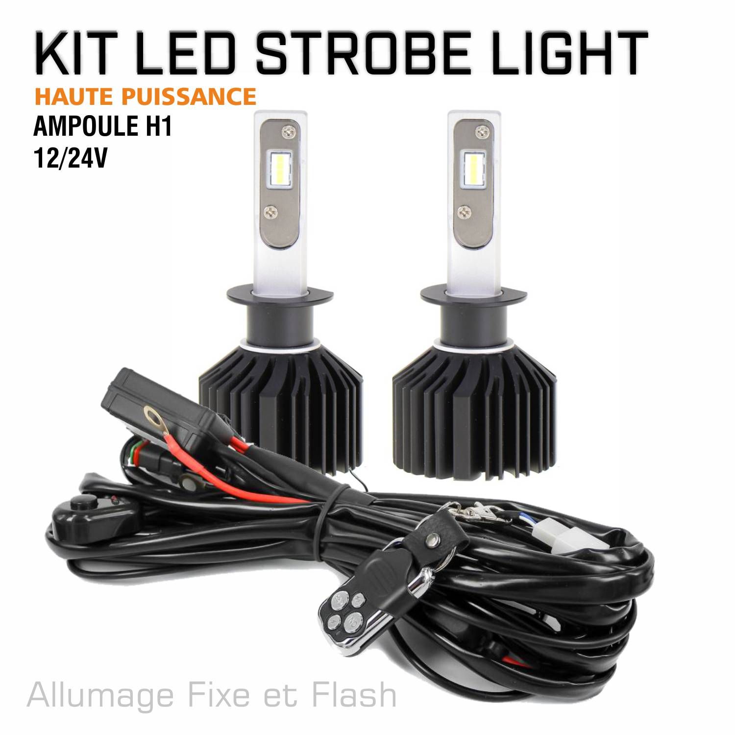 Ampoule à led H1 orange 10-30V/6W (par pièce) - Tout pour votre voiture et  camion Delrue