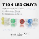 ampoule Led T10 W5W