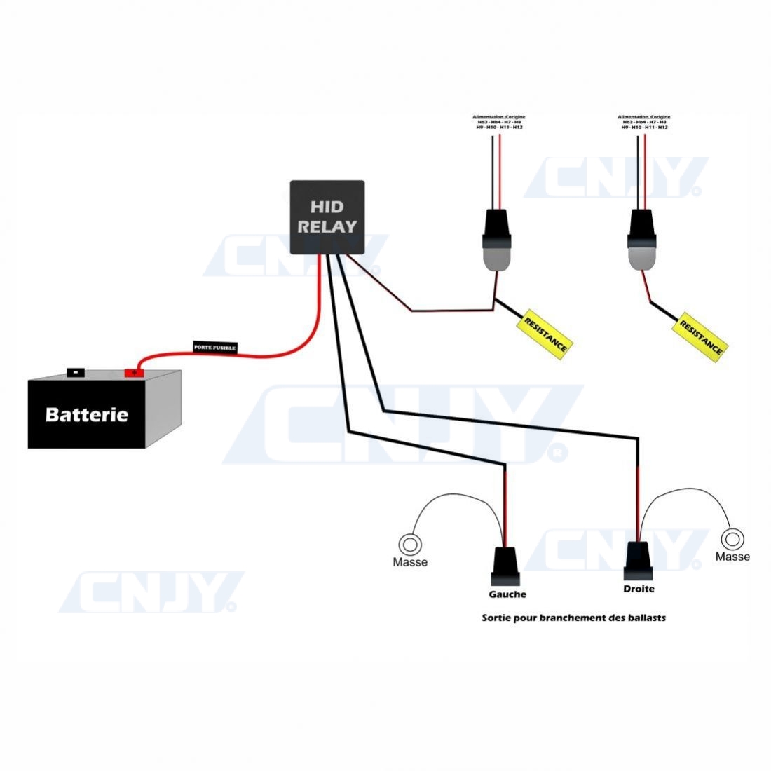 Support ampoule T10 W5W - T15 W16W + résistance 5w anti erreur ODB