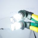 AMPOULE LED H10 80W CREE 12V 24V