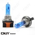 2 AMPOULES H15 DE RECHANGE 15/55W 12V PLASMA LOOK XENON 5000K~6000K POUR VW GOLF 6 AUDI SEAT SKODA