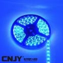 bande led bleu flexible