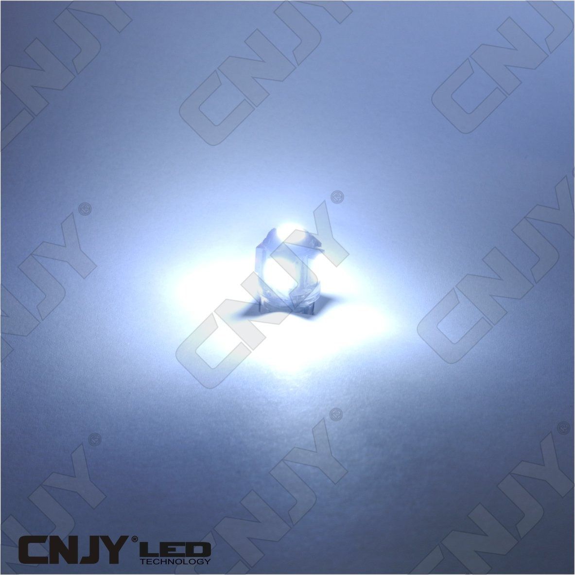 ampoule,light,bulb,led,truck,camion,ba9s,t4w,9mm,24v,dc,polarisee,5,led,smd,blanc,6000k