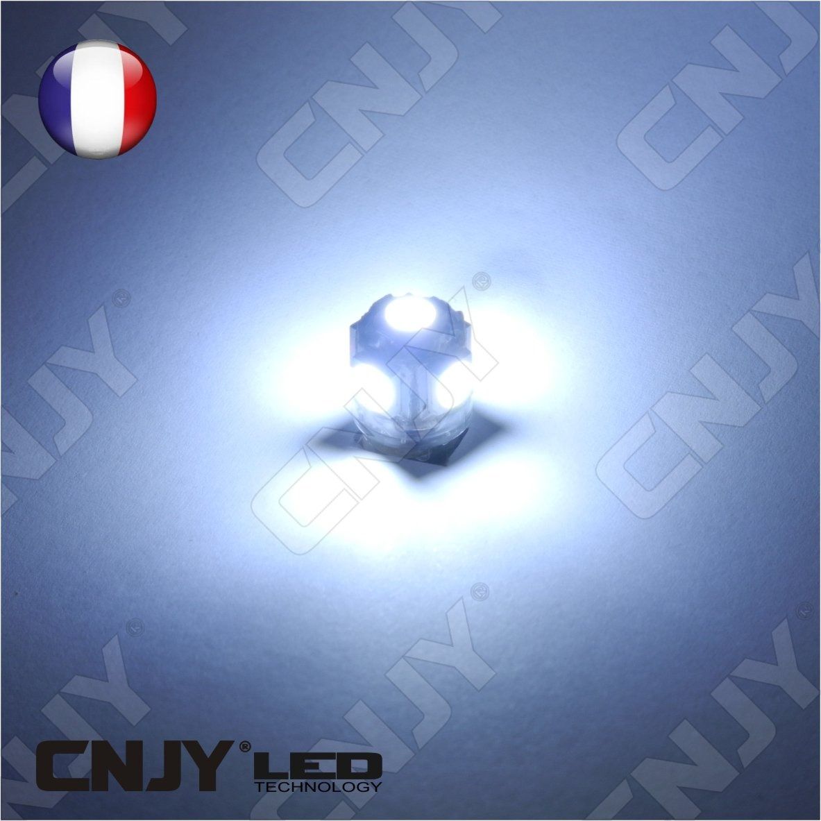 ampoule,5,led,blanc,smd,t10,w5w,24v,dc,culot,w2.1x9.5d,pour,veilleuse,feux,de,plaque,gabarit,camion