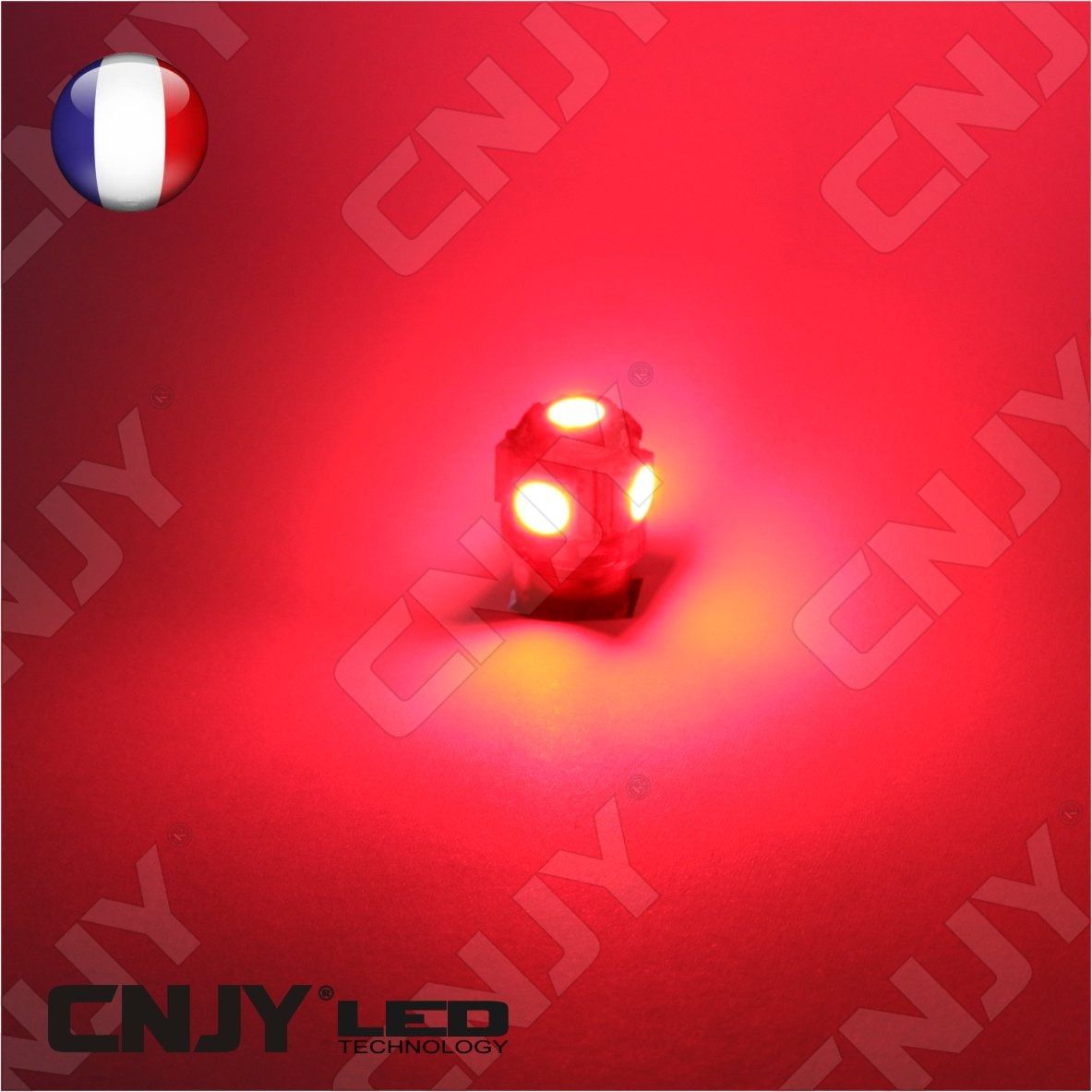 ampoule,5,led,rouge,smd,t10,w5w,24v,dc,culot,w2.1x9.5d,pour,veilleuse,feux,de,plaque,gabarit,camion