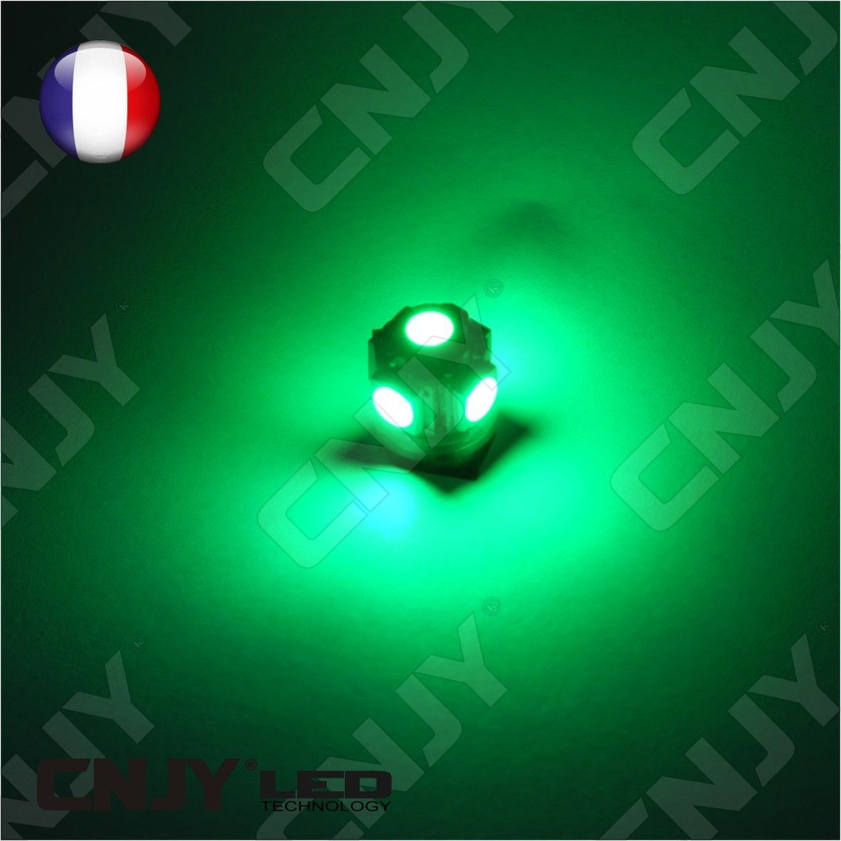 ampoule,5,led,vert,smd,t10,w5w,24v,dc,culot,w2.1x9.5d,pour,veilleuse,feux,de,plaque,gabarit,camion