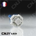 AMPOULE 5 LED SMD BLEU T10 W5W 24V DC -CULOT W2.1x9.5D POUR VEILLEUSE, FEUX DE PLAQUE, GABARIT CAMION