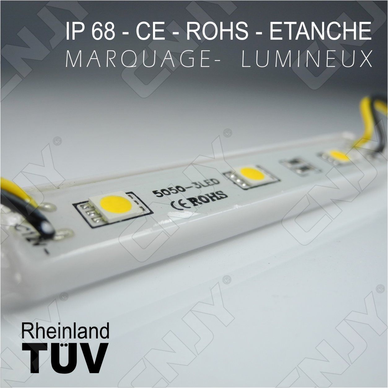 module,led,cable,smd,5050,blanc,froid,chaud,bleu,rouge,vert,orange,rose,violet,jaune,rgb,etanche,ip68,pour,marquage,publicitaire,enseigne,lumineuse,tuning,decoration,12V,DC