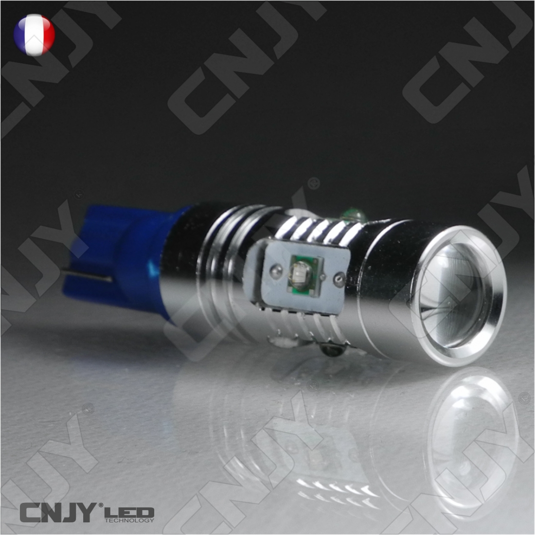 Ampoules LED T10 W5W Bleu Glacé 30 SMD – 12-24V Canbus Sans Erreur, Pour Intérieur Voiture, Plaque, Dome, Carte (lot De 2)