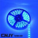 Bande led souple bleu