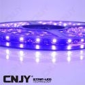 Bande led flexible rose