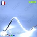 bande led 12v blanc froid