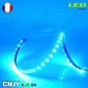 Bande led bleu