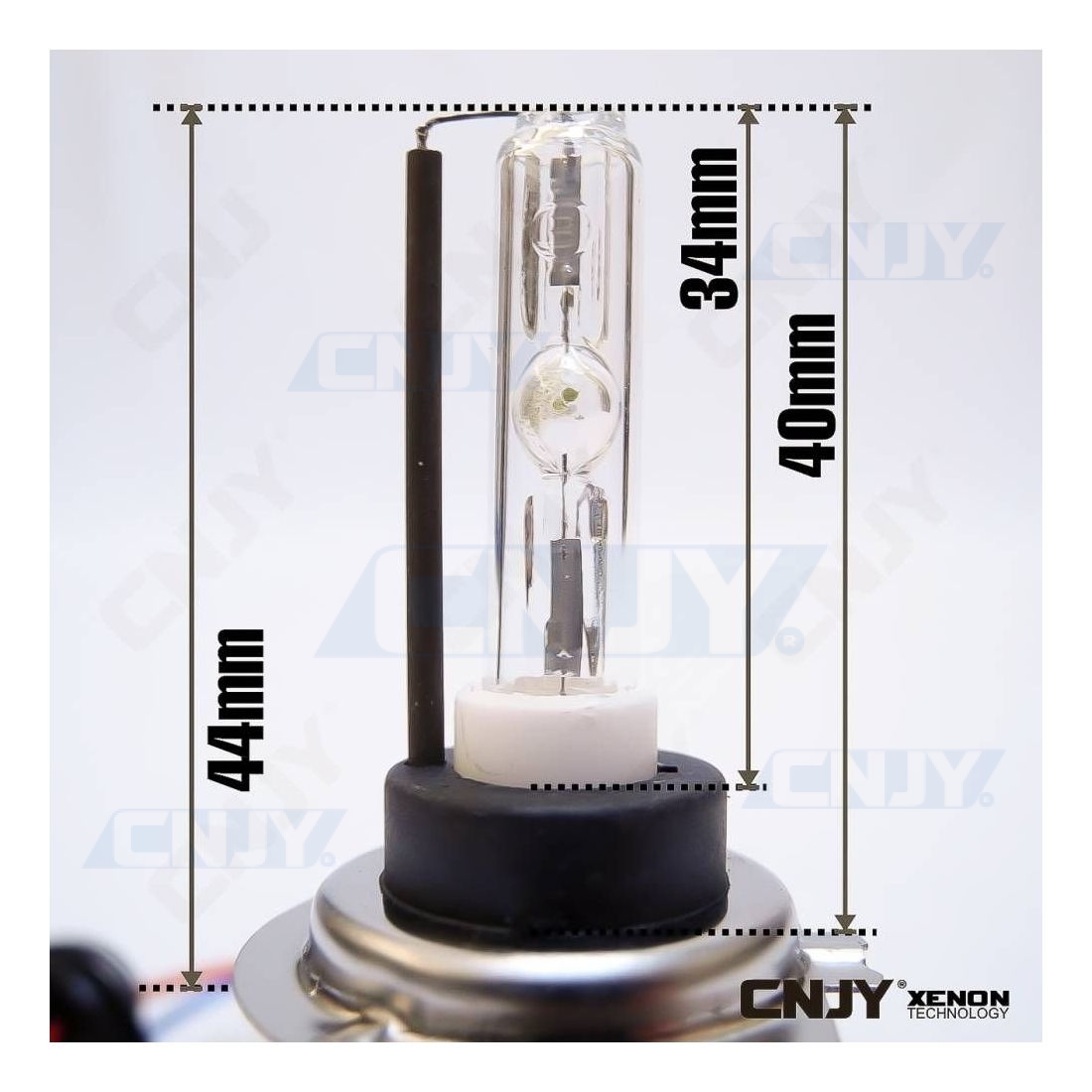 Ampoule HID Xénon Vega® H7C 55W à embase métallique Marque Française