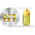 H1