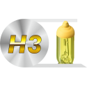 H3