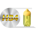HB4