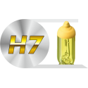 H7