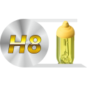 H8