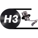 H3
