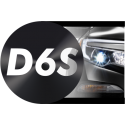 D6S