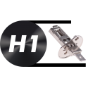 H1 - P14.5S