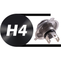 H4 - P43T