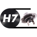 LED H7