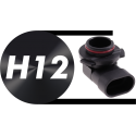 H12 - PZ20D