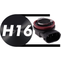 H16 - PGJ19-3 