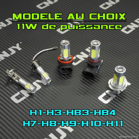 Ampoule LED de 11W au choix 