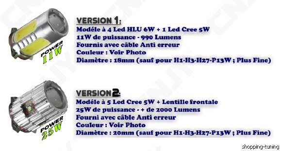 Modéle à 4 LED et 5 LED Cree entre 990 et 2000 Lumens