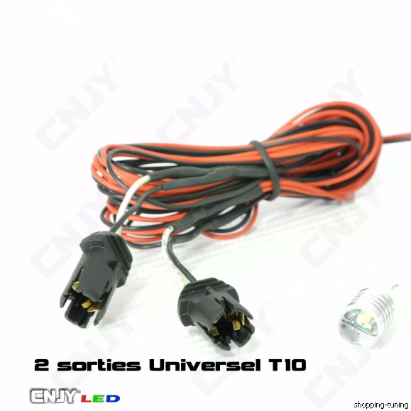 2 sorties universel T10